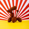 Chien ballon – Image 4