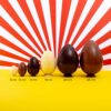 Oeuf - Chocolat lait – Image 2