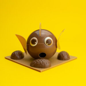 Maurice - Poisson en chocolat