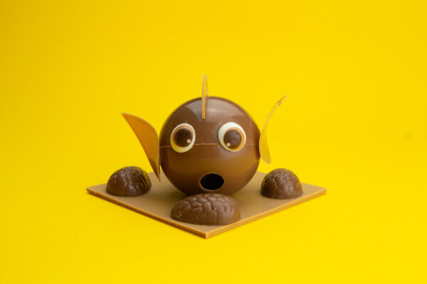 Maurice - Poisson en chocolat