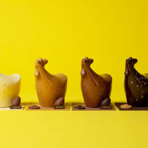 Petite poule moderne